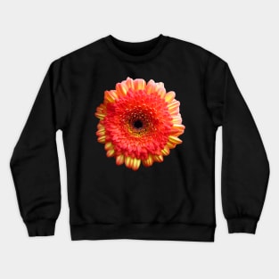 orange flower, marigold, aster, bloom, petal, garden Crewneck Sweatshirt